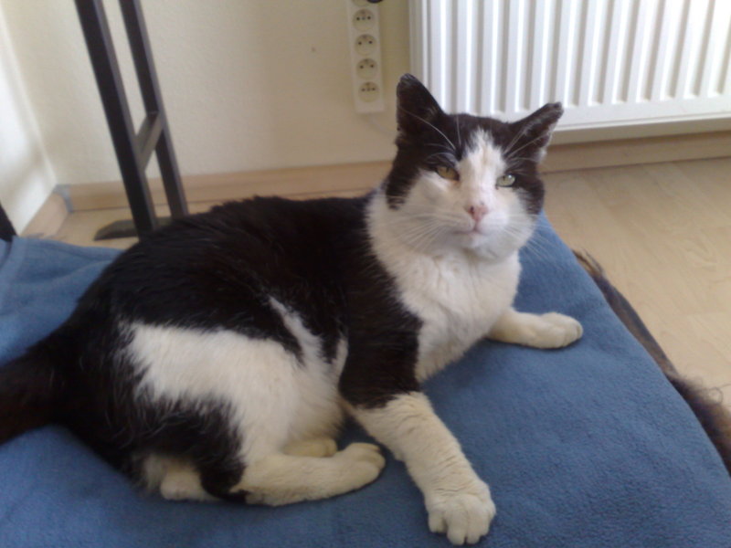 Muskelkater - Mika